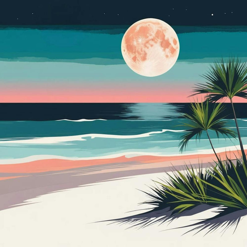 Beach At Night