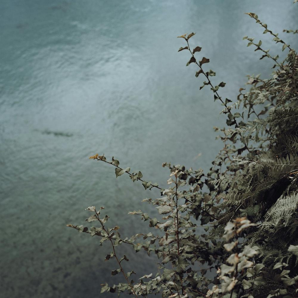 Blue Green Plant And River Scene St Sebastian, Spain Square