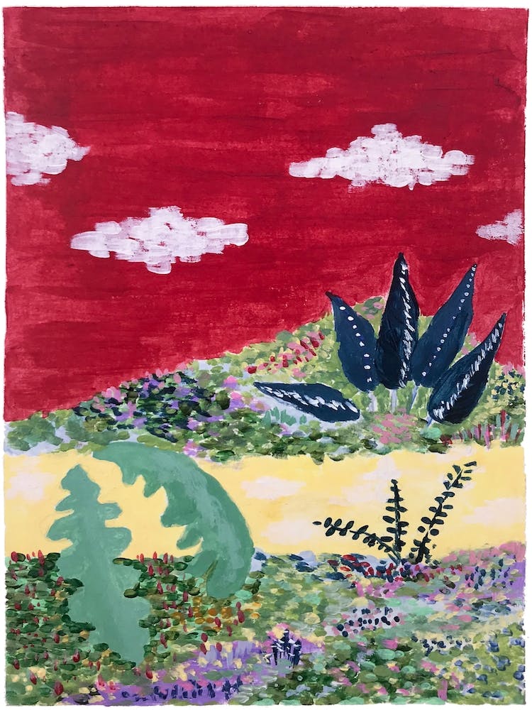 Red Sky Jungle