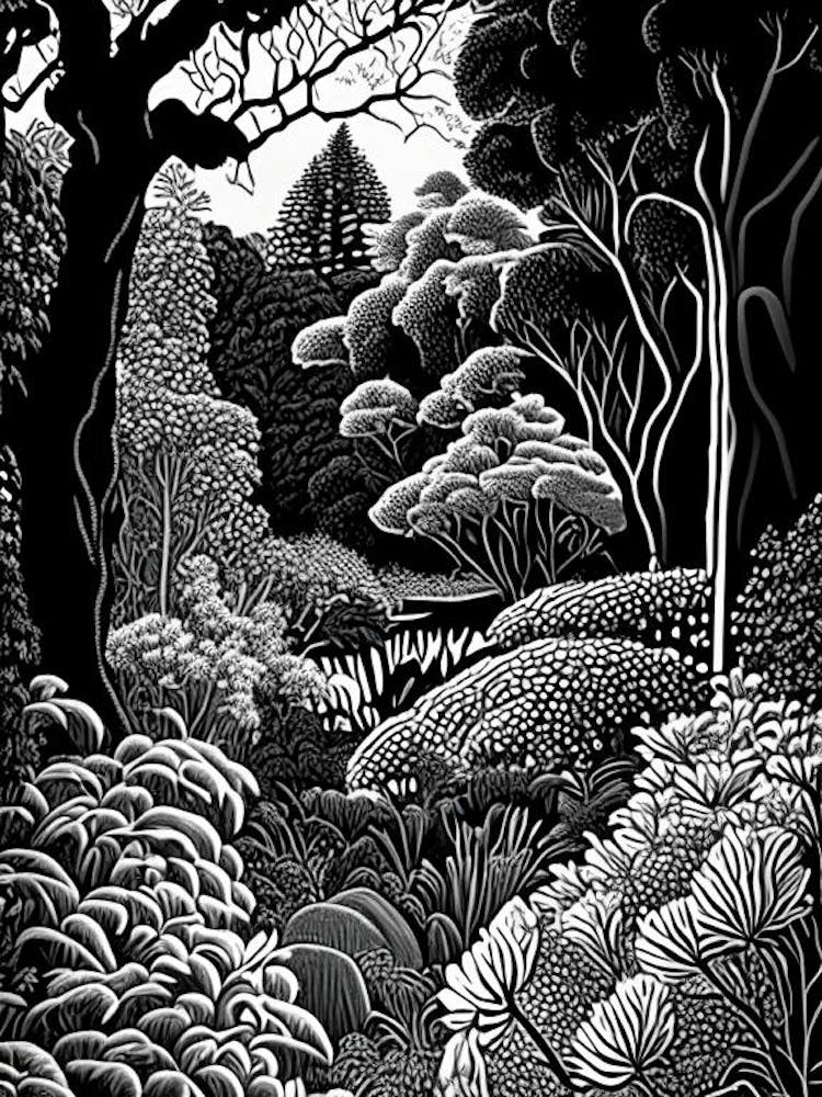 Descanso Gardens, Usa Linocut Black And White Vintage