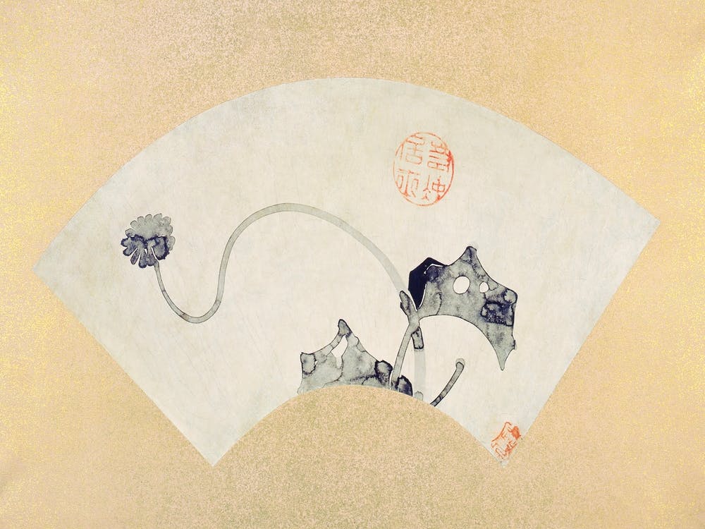 Water Plant (18th Century), Itō Jakuchū