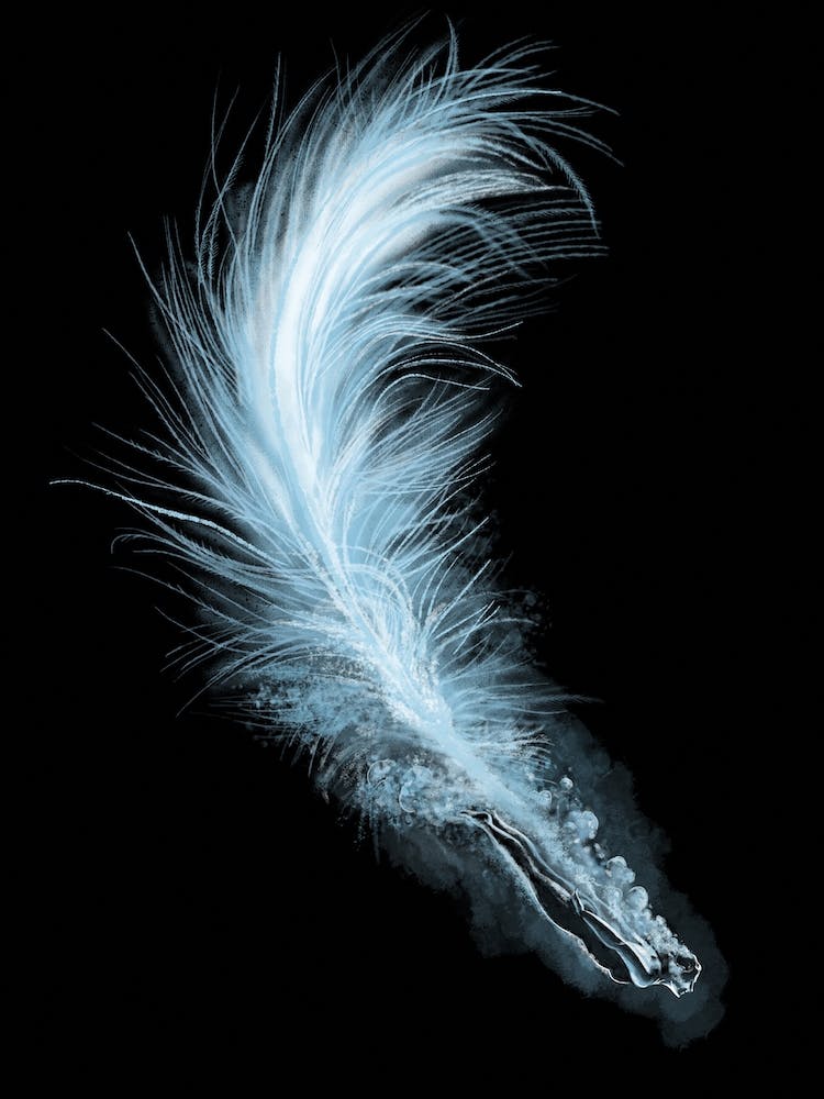 Like A Feather Diving