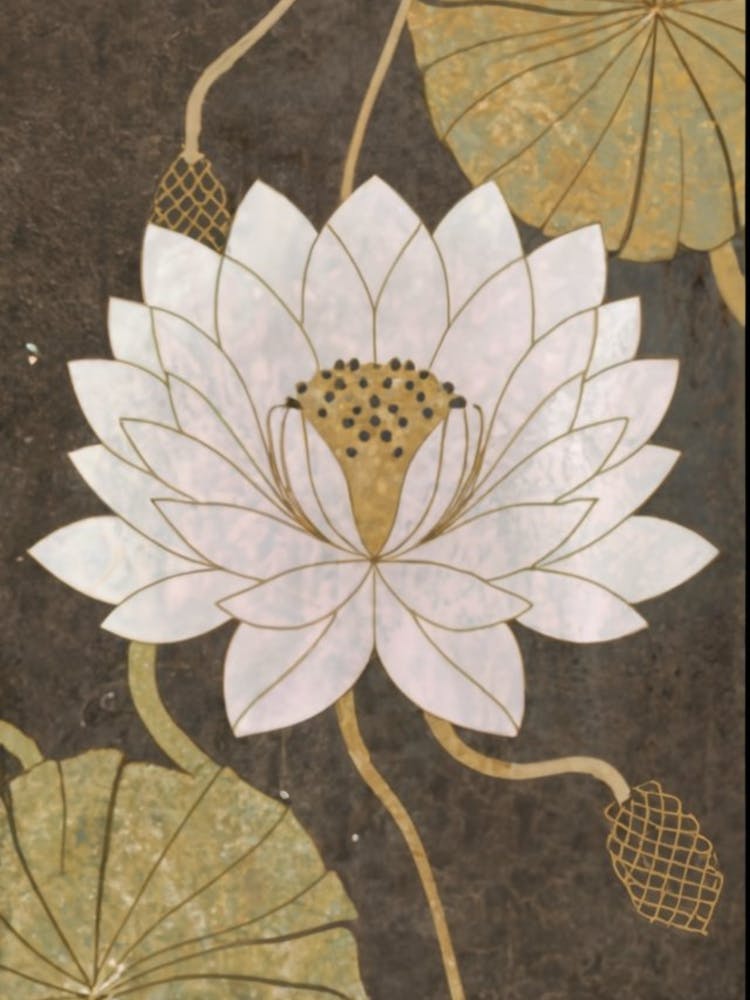 Lotus Flower 8