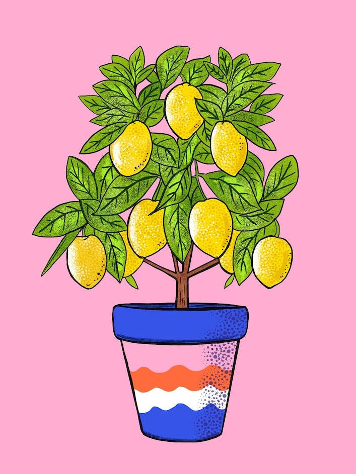 Lemon Tree