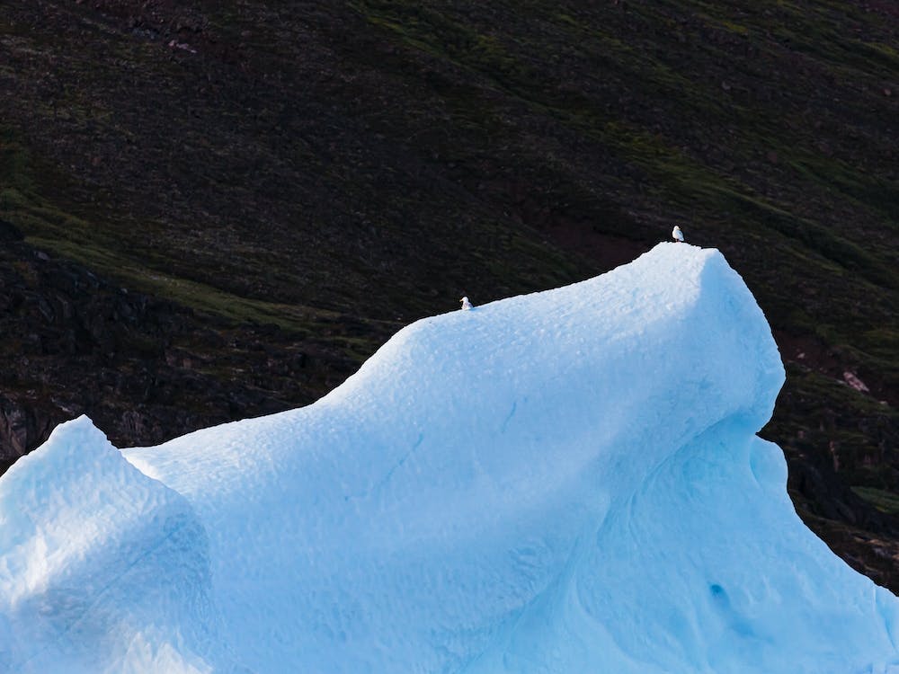 11 R Nitumaso ('Sculptural') Iceberg