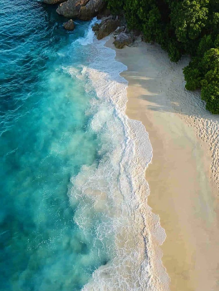 Aerial View Of A Tropical Beach 19