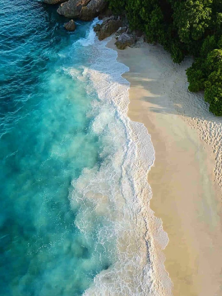 Aerial View Of A Tropical Beach 19