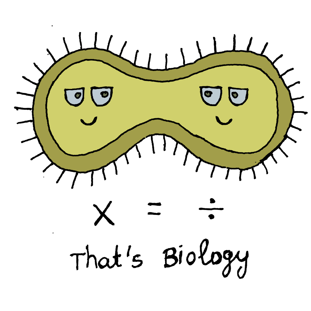 Cell Division Biology Joke