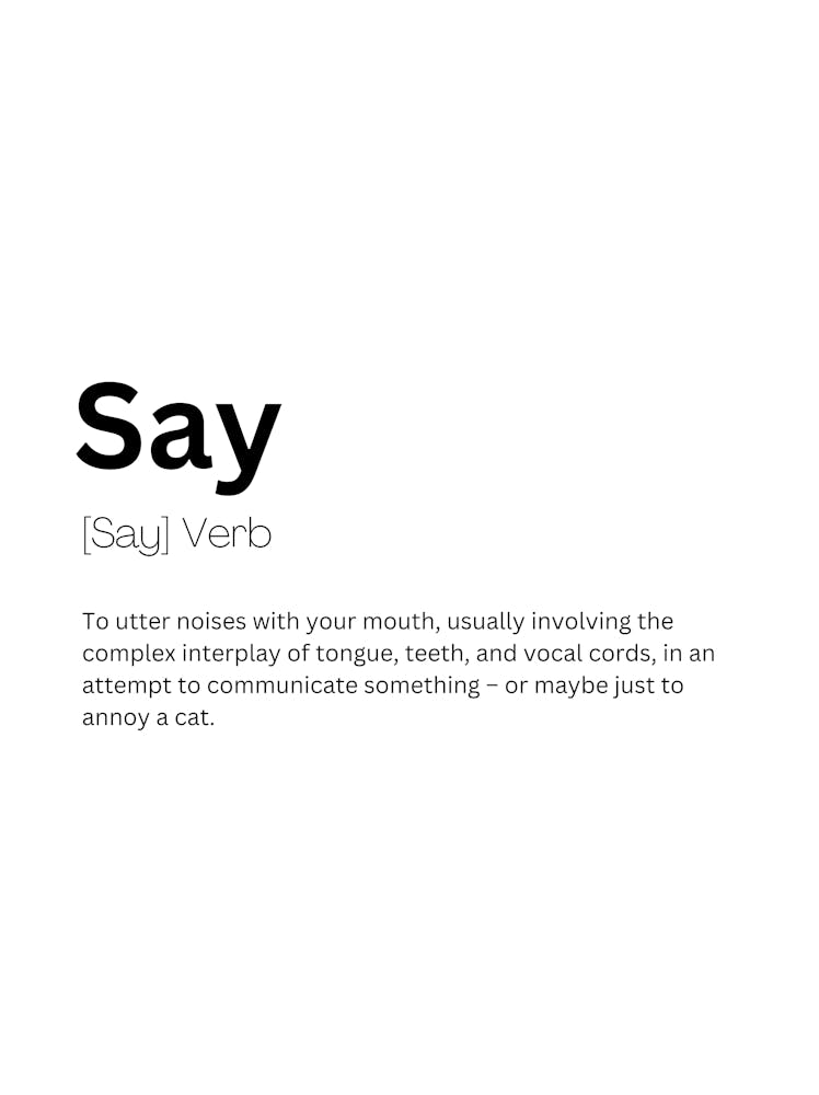 Say Definition Meaning