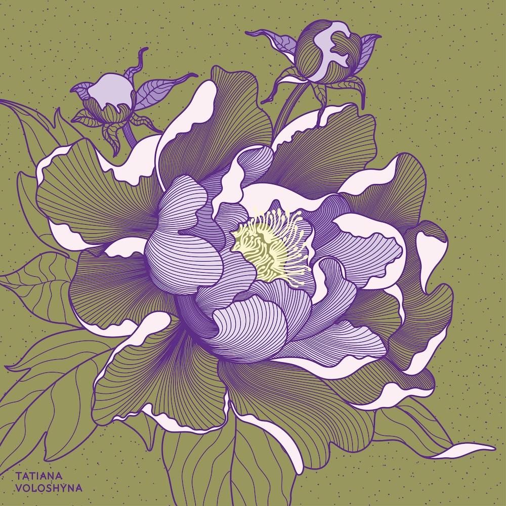 Peony Flower Square