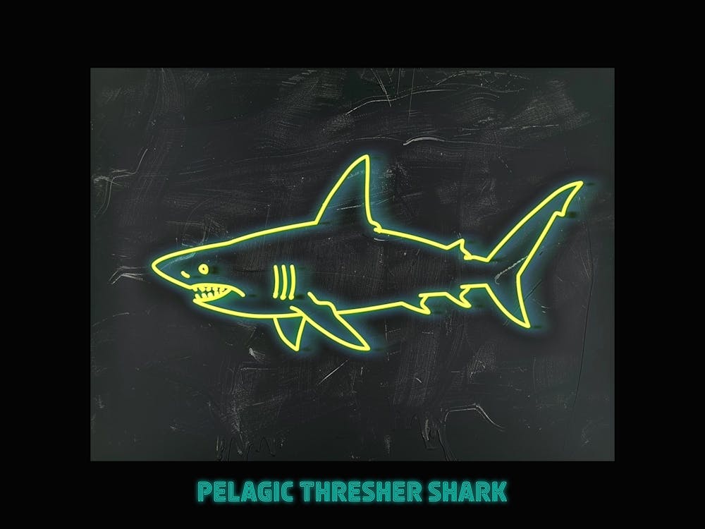 Neon Pelagic Thresher Shark 6 Poster