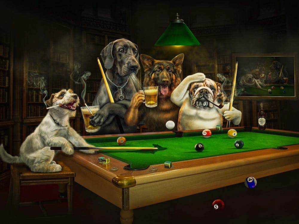 Funny Dogs Playing Billiard