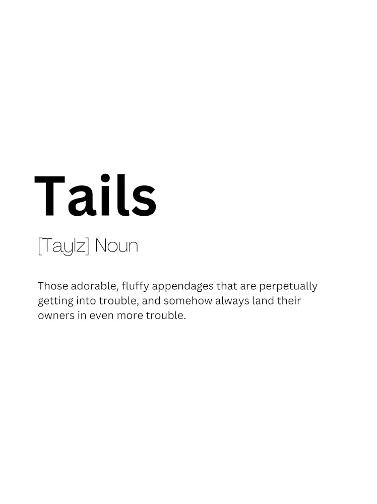Tails Definition Meaning