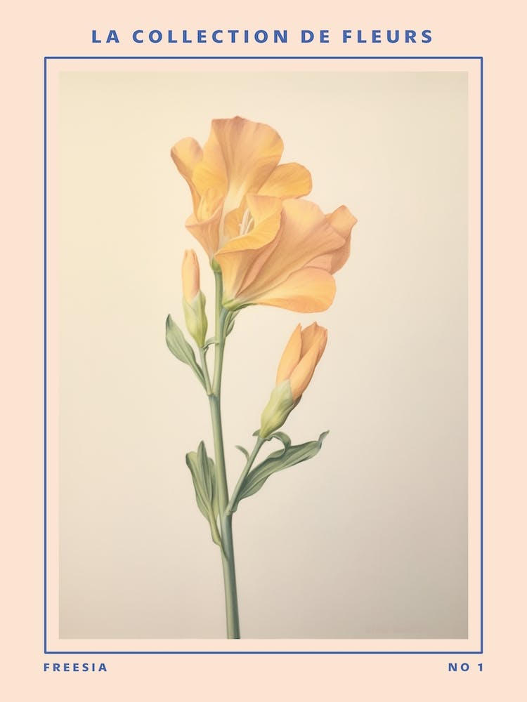 Freesia French Flower Botanical Poster
