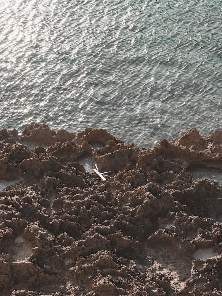 Sunny Sea With Rocks