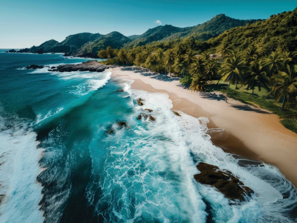 Plage Tropicale 1