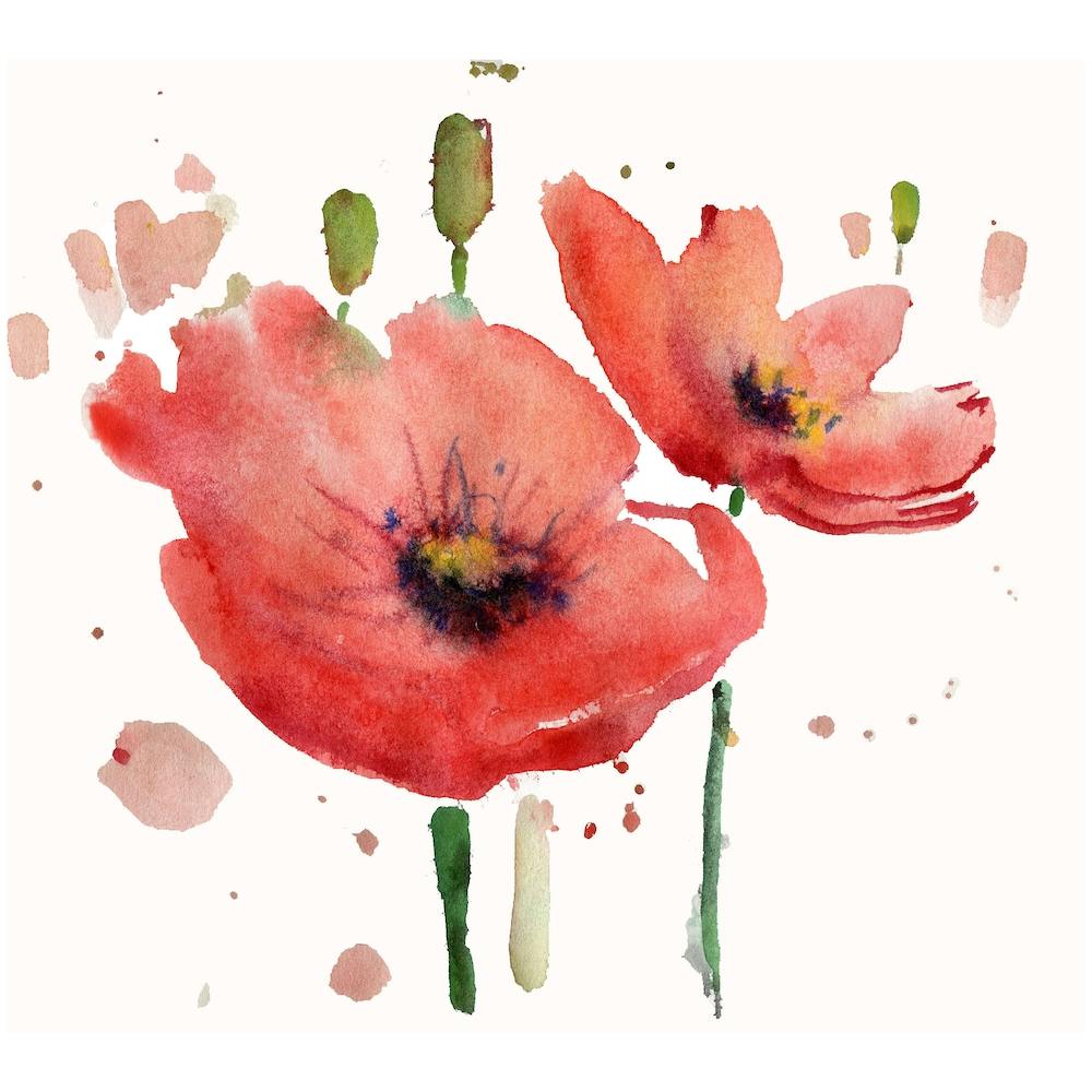 Red Poppies watercolor