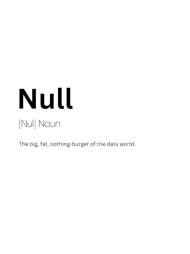 Null Definition Meaning 1