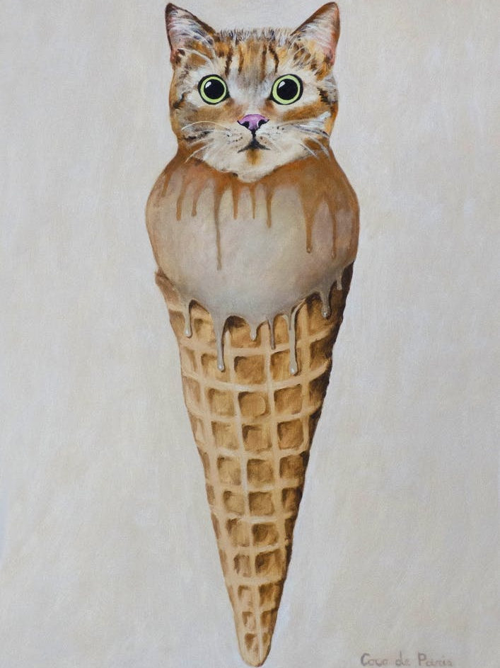 Icecream Cat