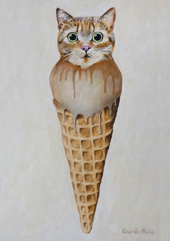 Icecream Cat