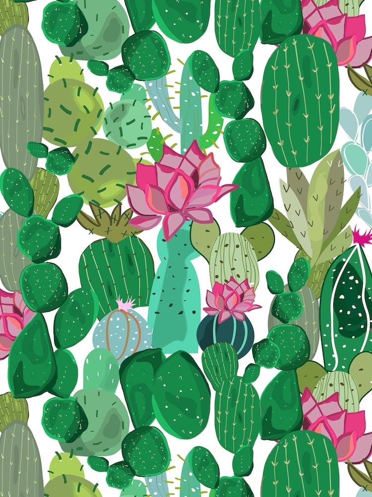 Cactus And Succulent