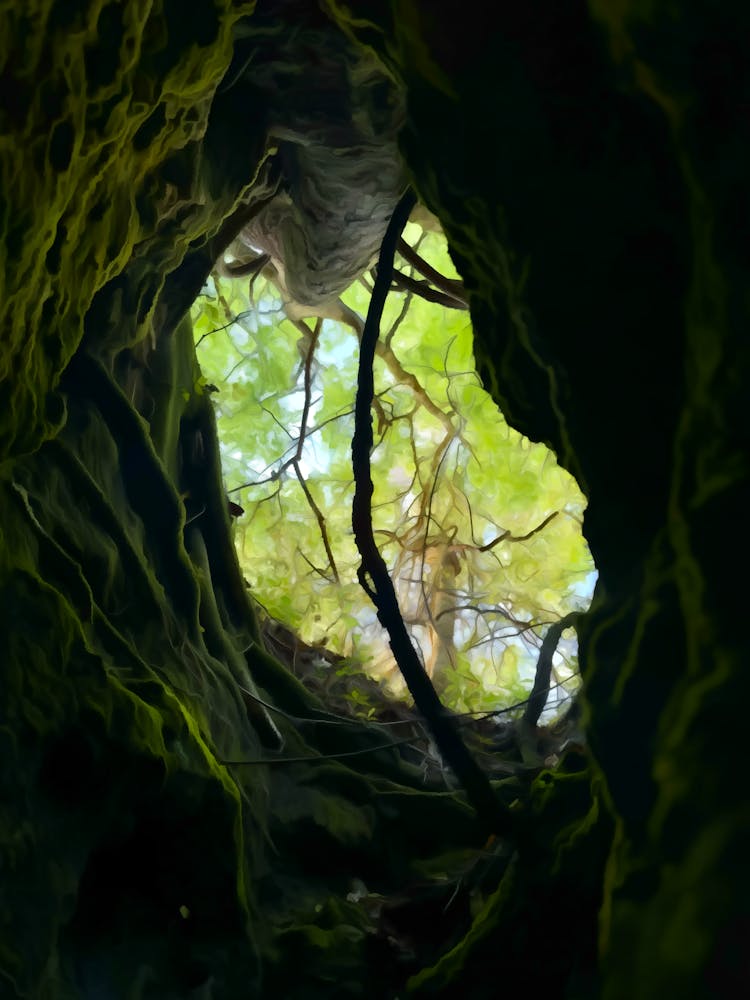 Cave Skylight