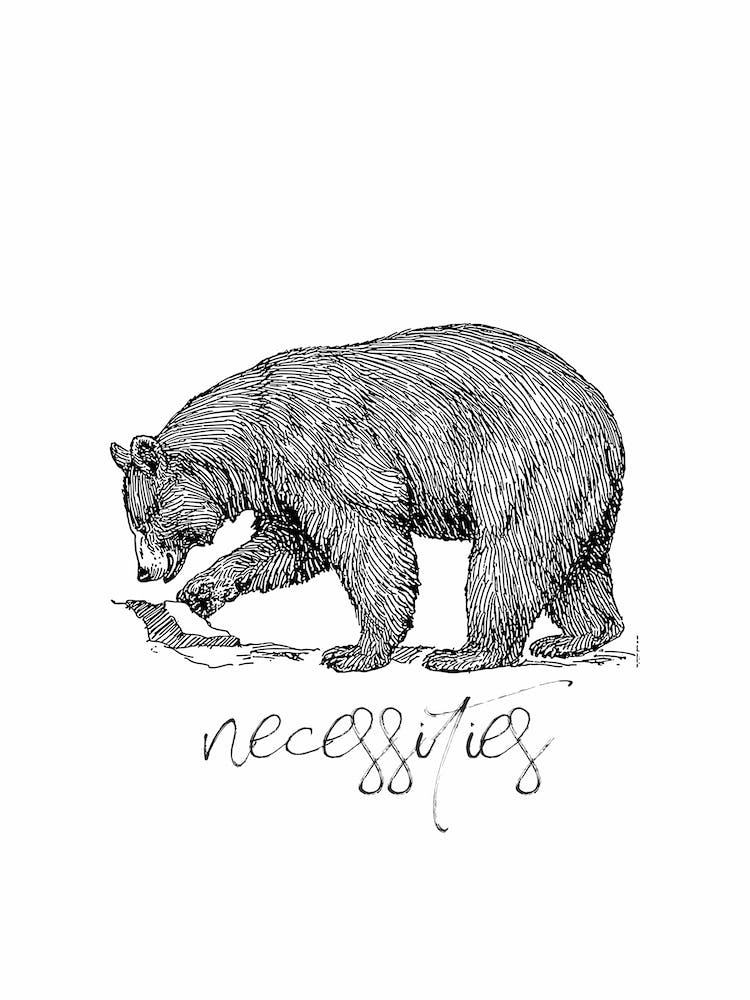 Bear Necessities