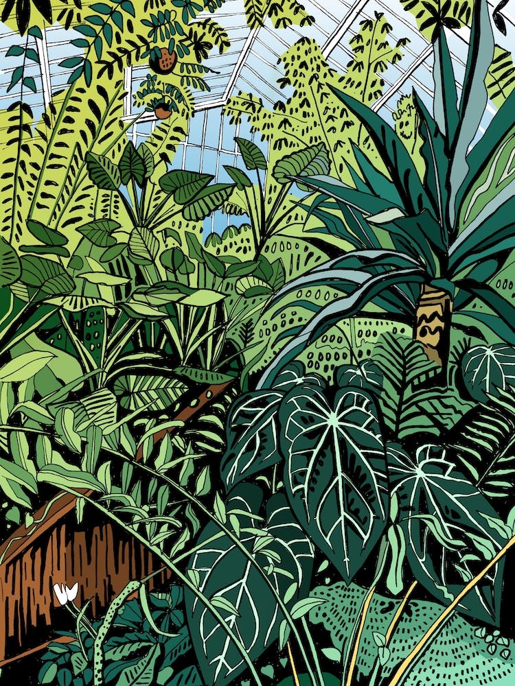 Kew Gardens Princess Of Wales Conservatory