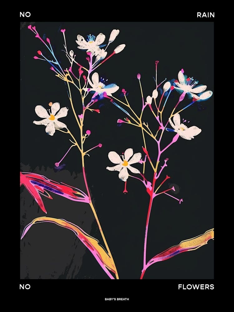 No Rain No Flowers Poster Babys Breath 9