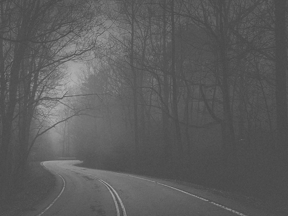 Route Brumeuse Noire Et Blanche