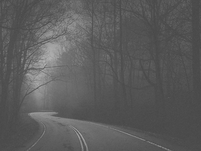 Black and White Foggy Road