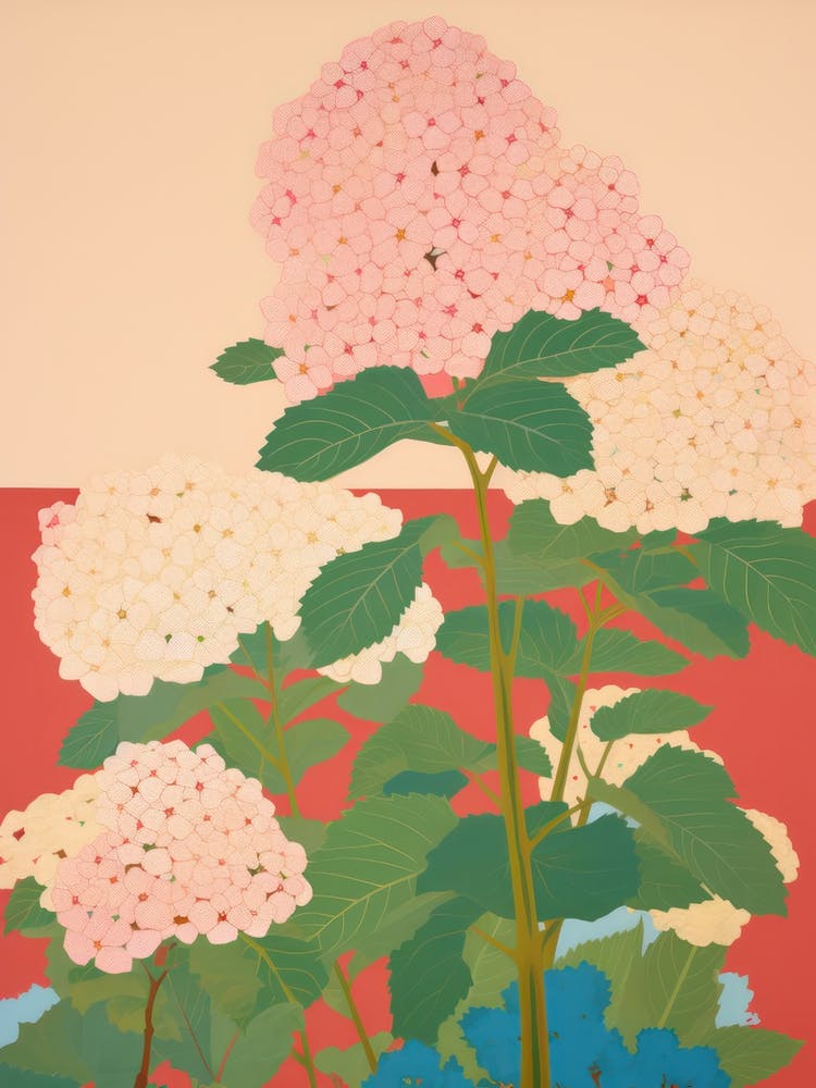 Hydrangeas Flower Big Bold Illustration 1