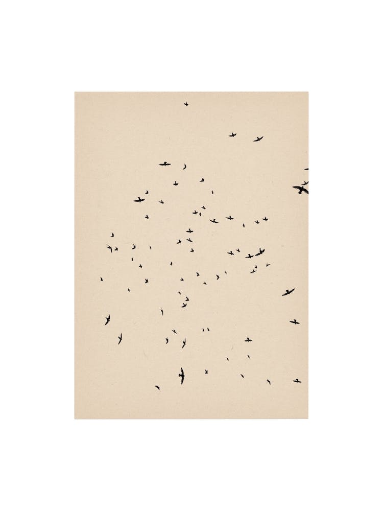 Nature Mix And Match 19