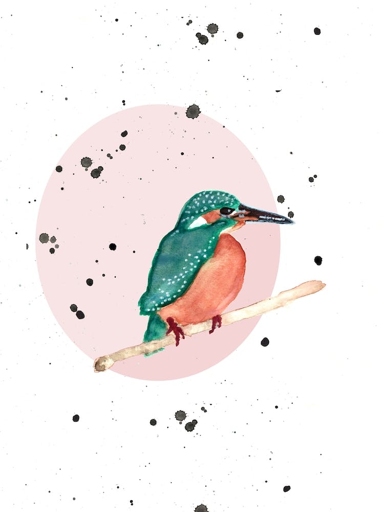 King Fisher