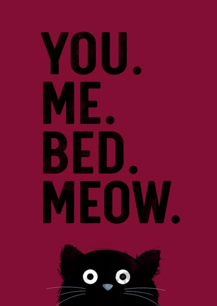 Cat Meow Three