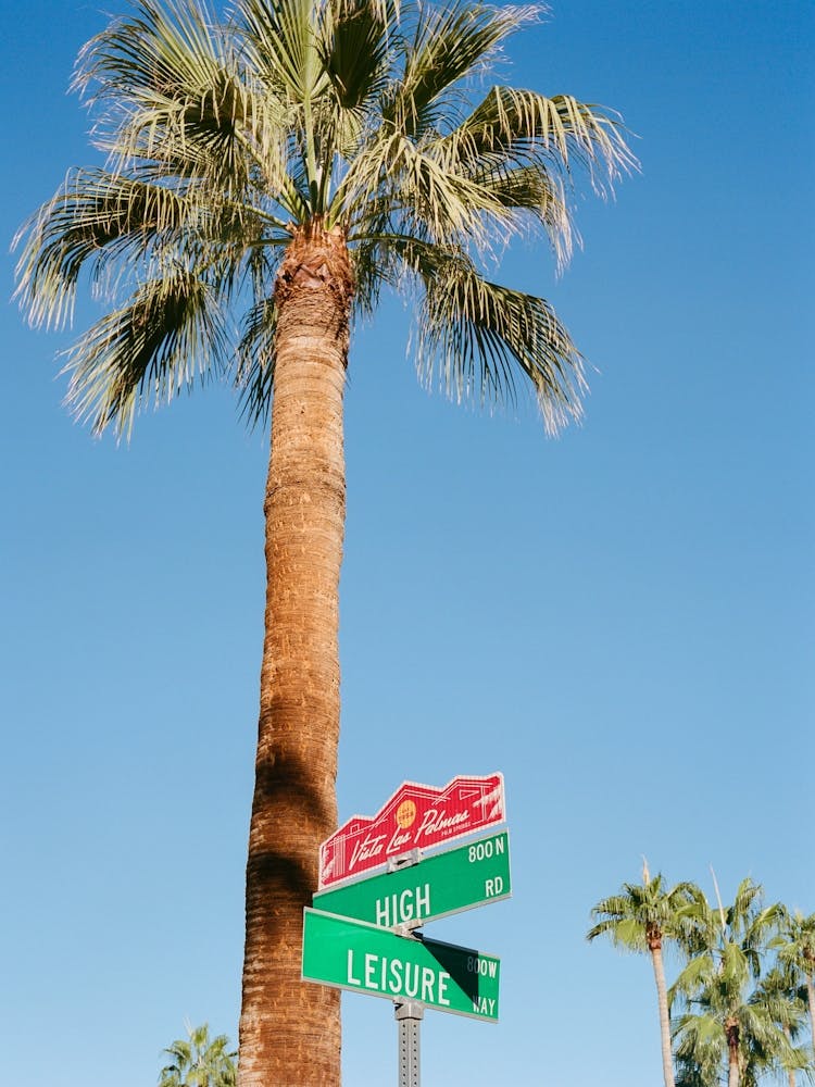 Palm Springs Life on Film