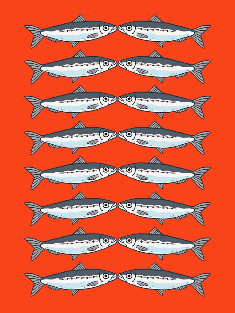 Sockeye Salmon.uk
