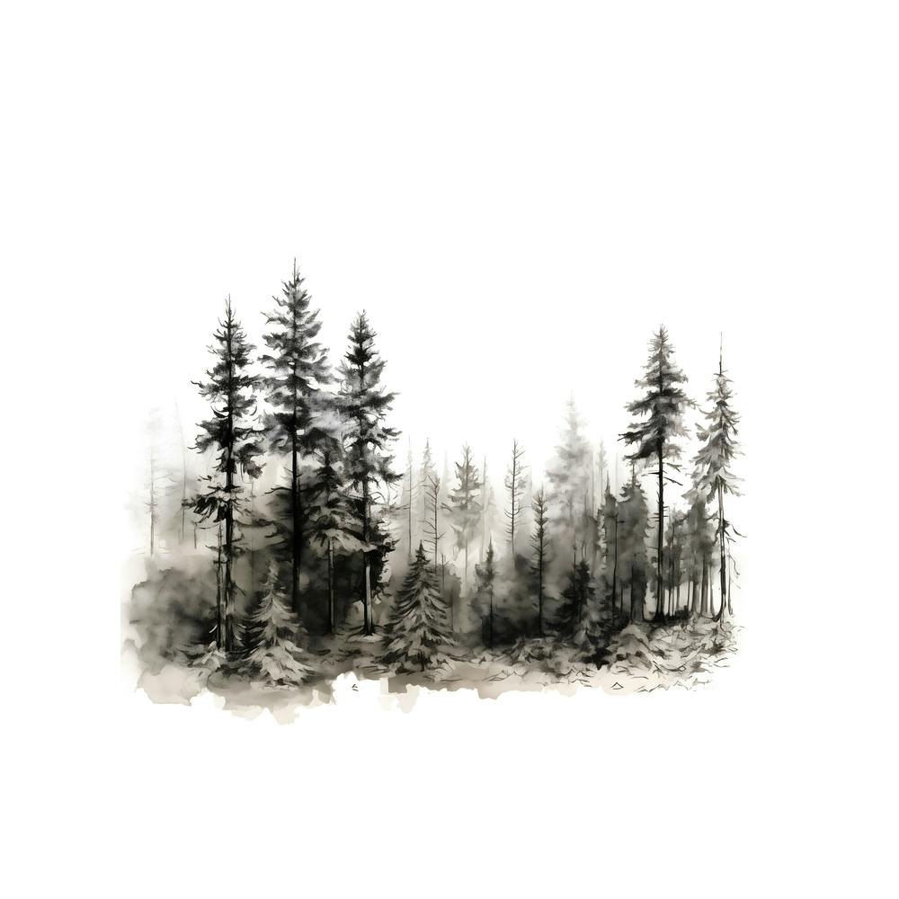 Undisturbed Forest Sketch