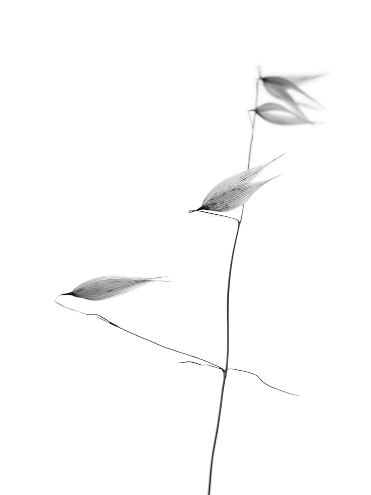 In light of current events IV