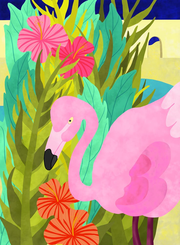 Flamingo Oasis 1