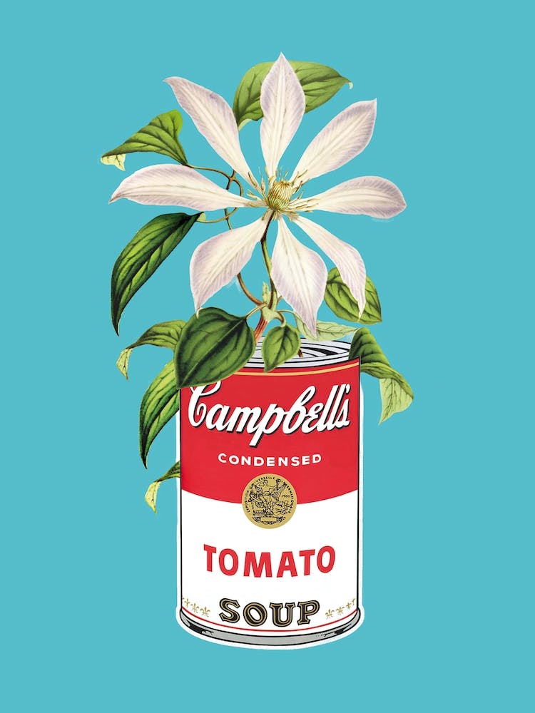 Campbells And Flowers
