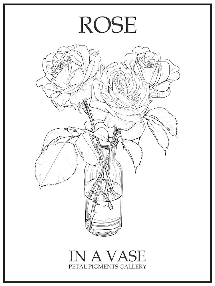 Rose In A Vase Line Drawing 6 Poster