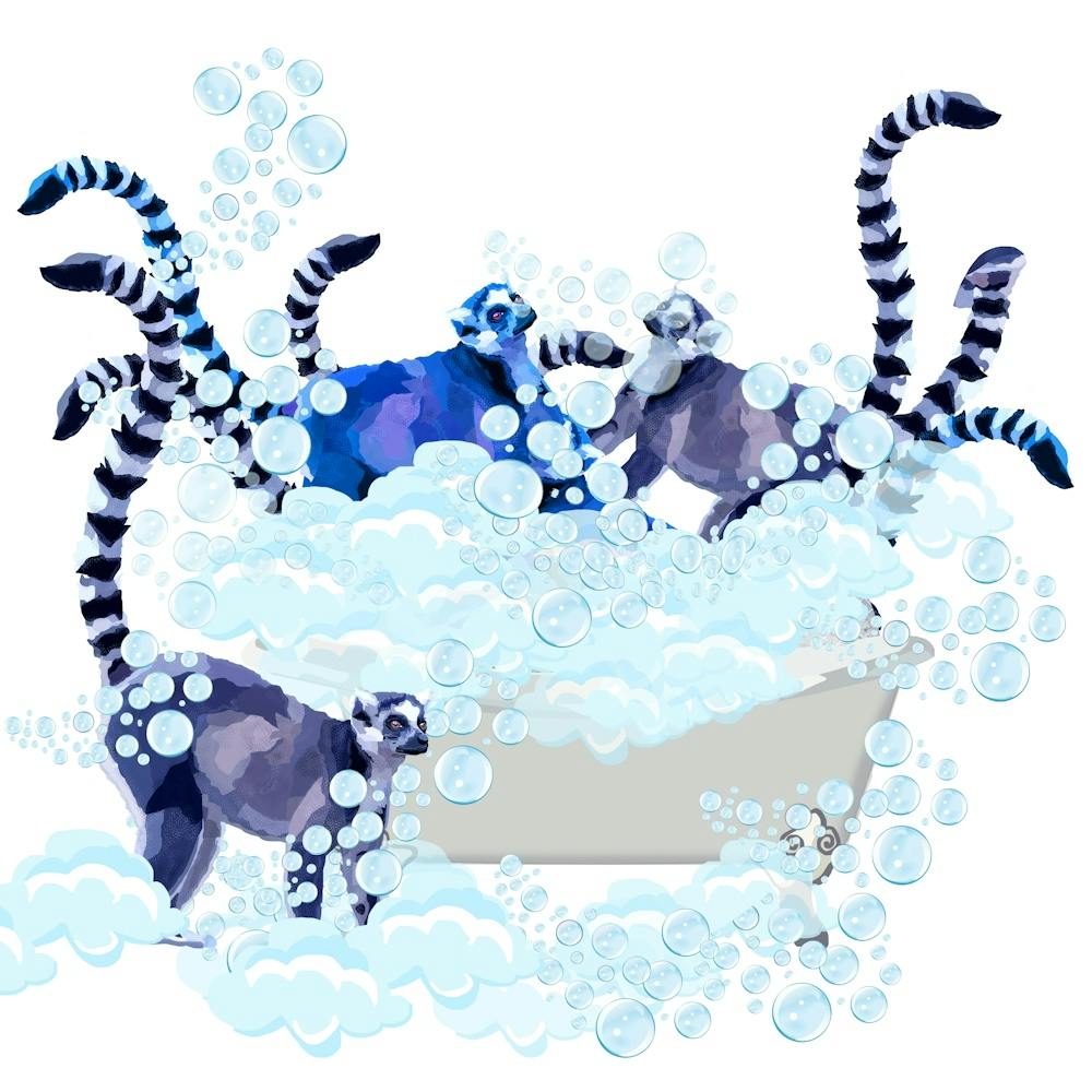 Lemurs in the bathtub!