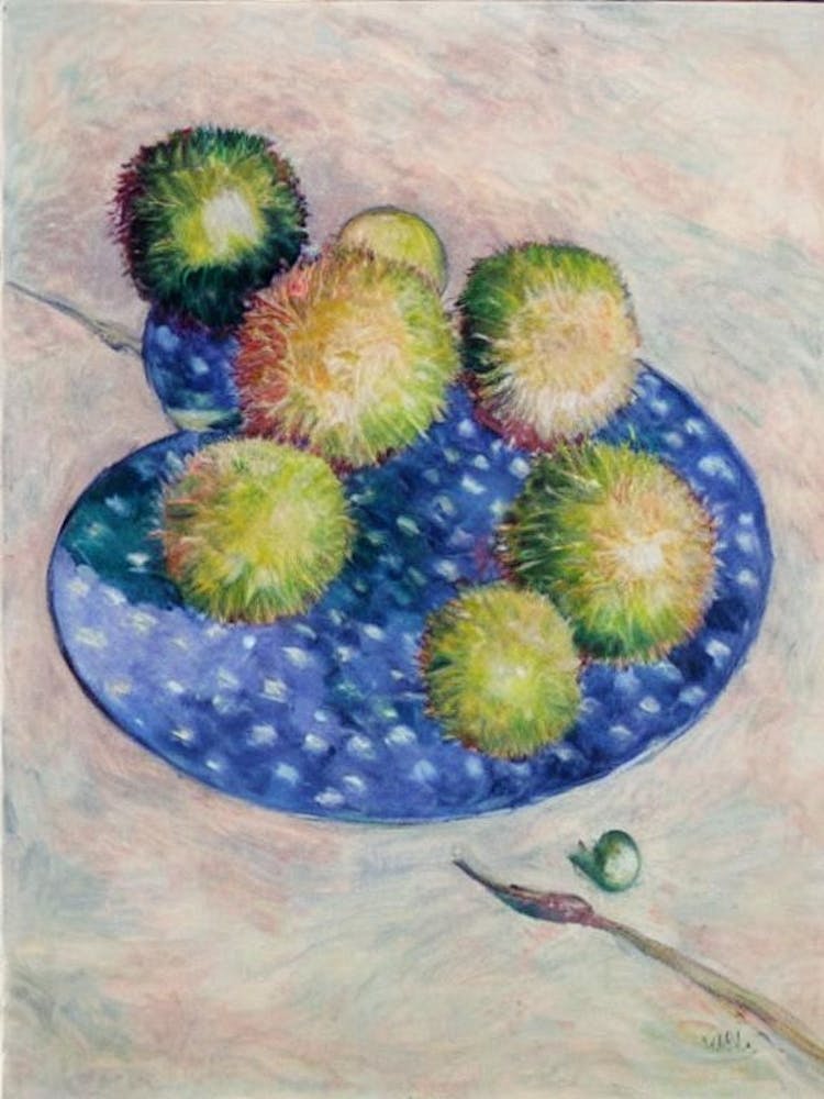 Rambutan Vintage Sketch Fruit