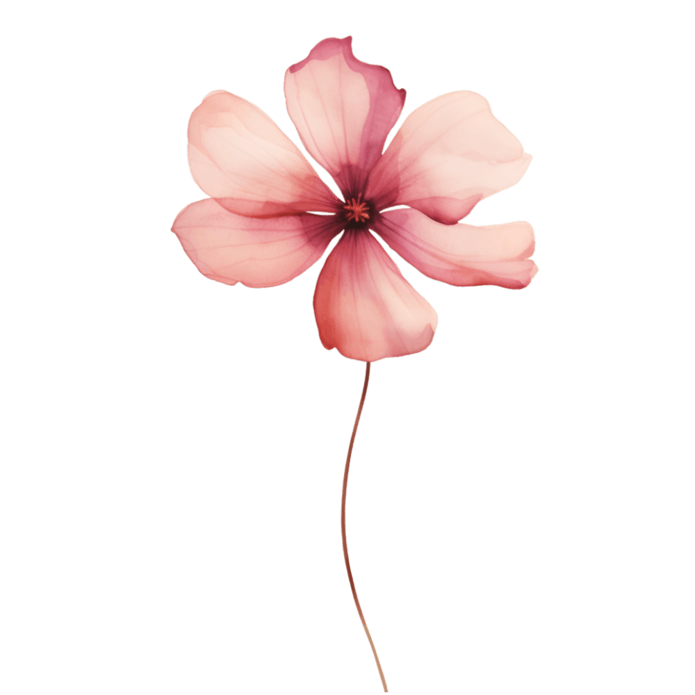 Pink Flower 1