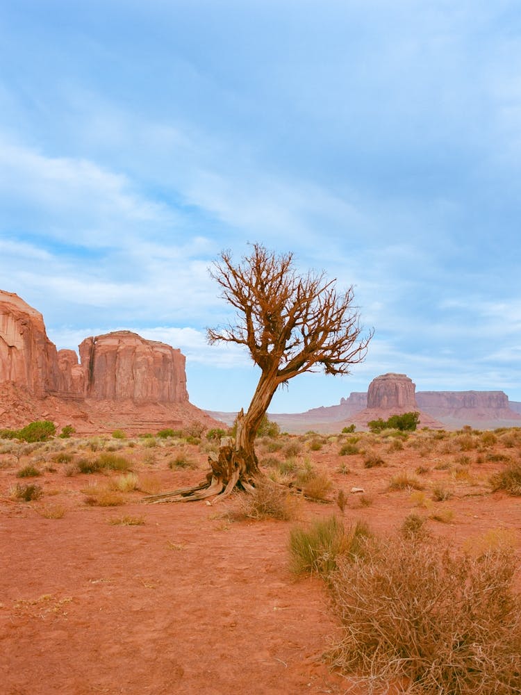 Monument Valley XI on Film