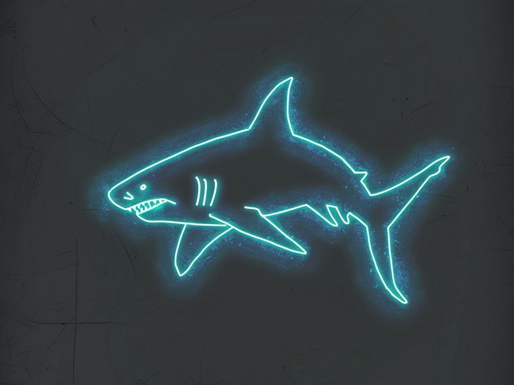 Neon Aqua Bamboo Shark 4