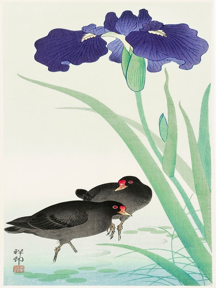 Waterhoots And Iris (1925 1936), Ohara Koson