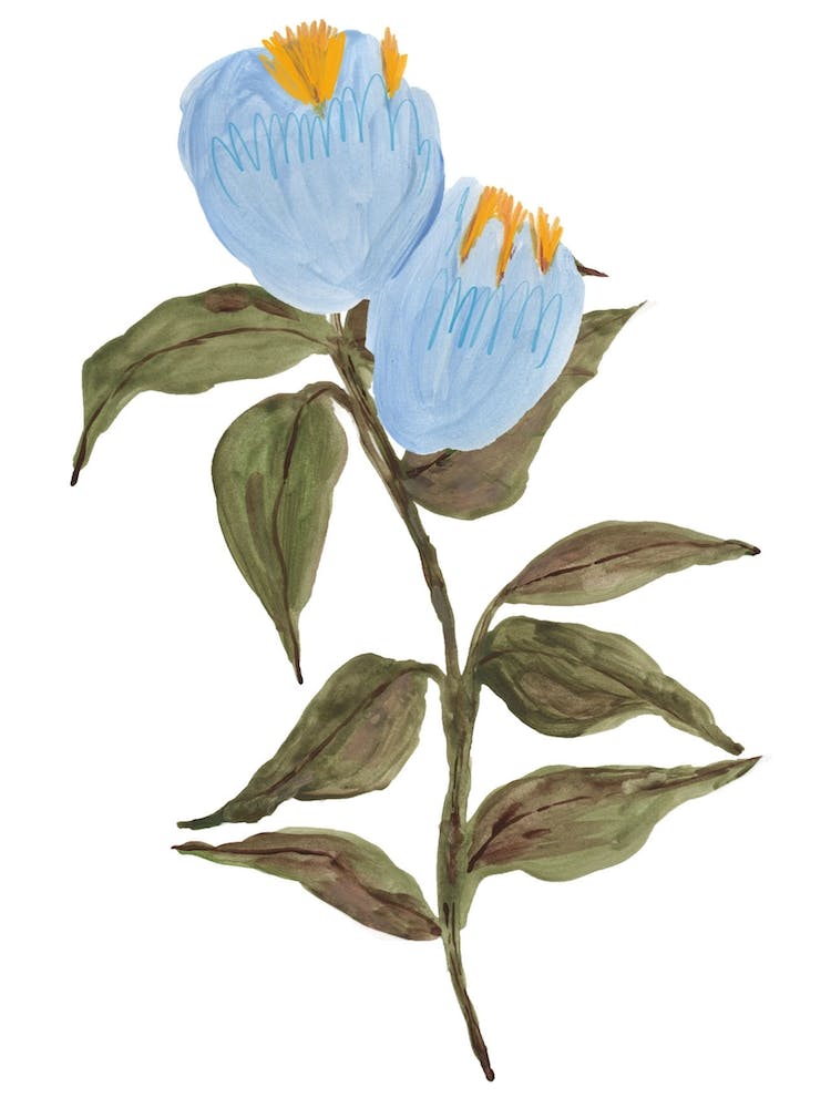 I Will Not Make Myself Lesser