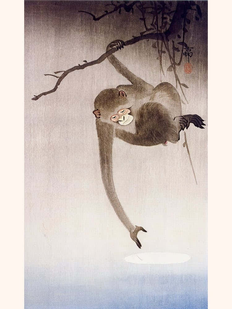 Monkey Catching Reflection Of The Moon, 1927, Ohara Koson
